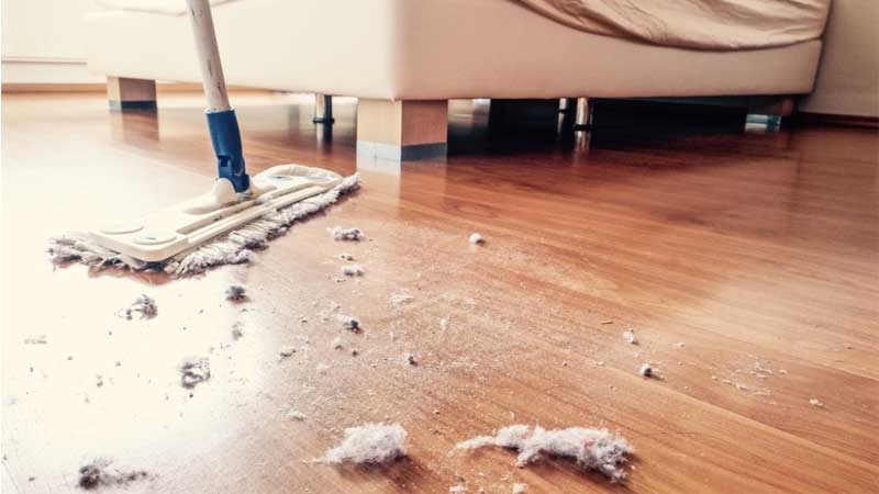 agar lantai kayu mengkilap harus sering dirawat & bersihkan