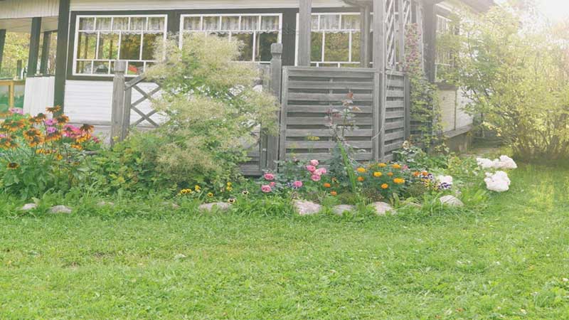 mempercantik taman depan rumah dengan tanaman hias cantik