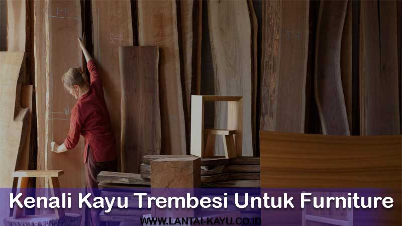 rekomendasi kayu trembesi untuk furniture